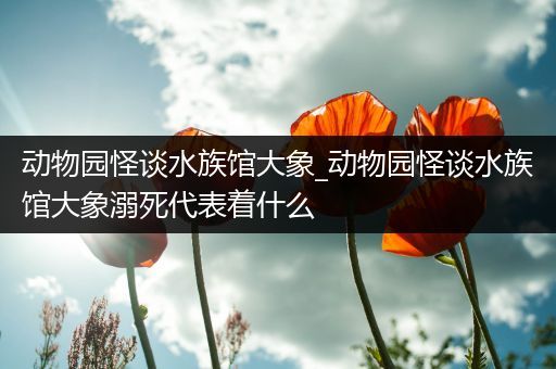 动物园怪谈水族馆大象_动物园怪谈水族馆大象溺死代表着什么
