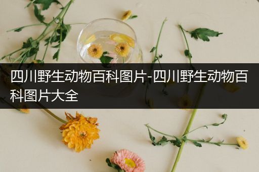 四川野生动物百科图片-四川野生动物百科图片大全
