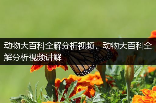 动物大百科全解分析视频，动物大百科全解分析视频讲解