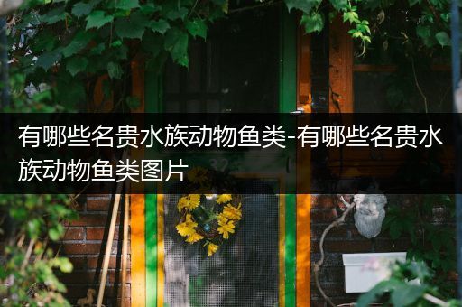 有哪些名贵水族动物鱼类-有哪些名贵水族动物鱼类图片