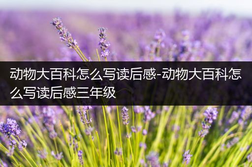 动物大百科怎么写读后感-动物大百科怎么写读后感三年级