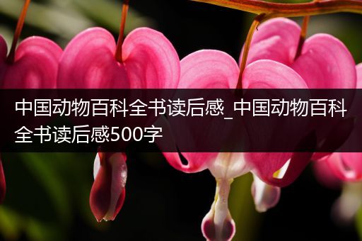 中国动物百科全书读后感_中国动物百科全书读后感500字