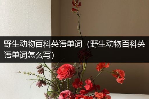 野生动物百科英语单词（野生动物百科英语单词怎么写）