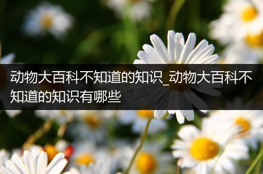 动物大百科不知道的知识_动物大百科不知道的知识有哪些