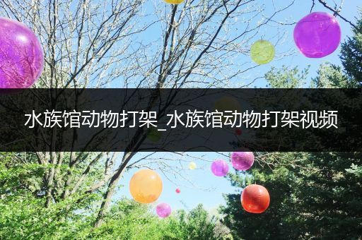 水族馆动物打架_水族馆动物打架视频