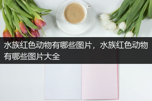 水族红色动物有哪些图片，水族红色动物有哪些图片大全