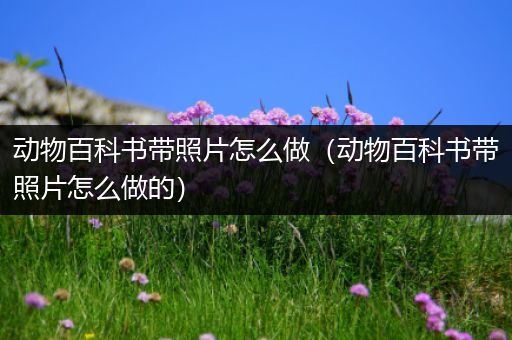 动物百科书带照片怎么做（动物百科书带照片怎么做的）
