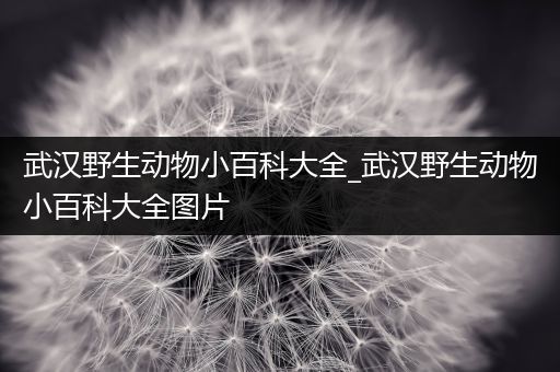 武汉野生动物小百科大全_武汉野生动物小百科大全图片