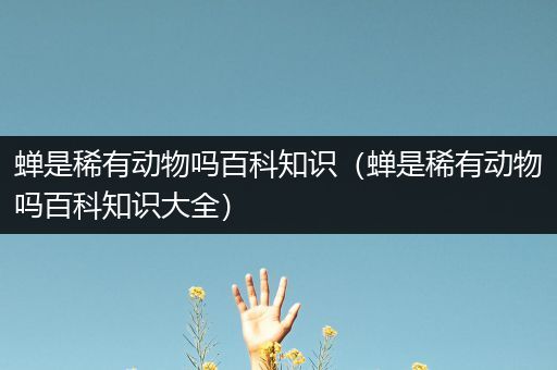 蝉是稀有动物吗百科知识（蝉是稀有动物吗百科知识大全）