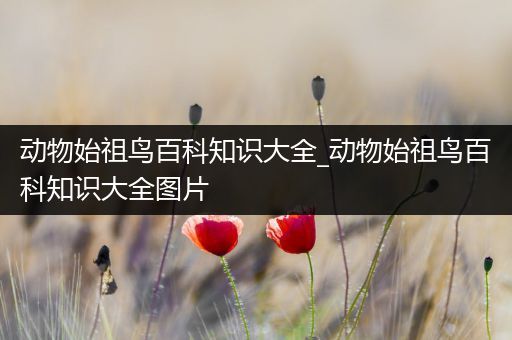 动物始祖鸟百科知识大全_动物始祖鸟百科知识大全图片