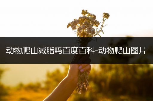 动物爬山减脂吗百度百科-动物爬山图片