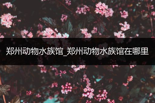 郑州动物水族馆_郑州动物水族馆在哪里