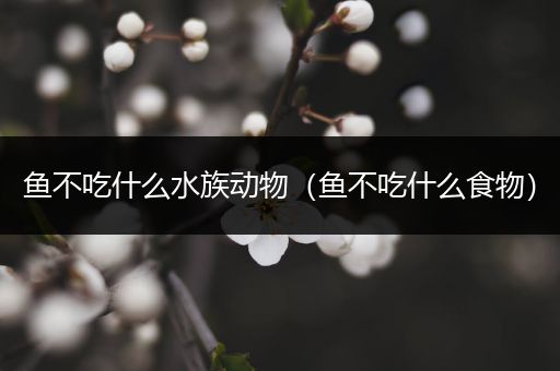 鱼不吃什么水族动物（鱼不吃什么食物）