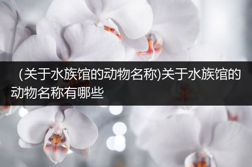 （关于水族馆的动物名称)关于水族馆的动物名称有哪些