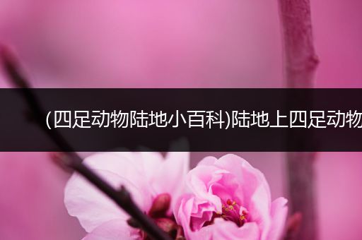 （四足动物陆地小百科)陆地上四足动物