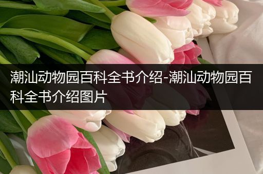潮汕动物园百科全书介绍-潮汕动物园百科全书介绍图片