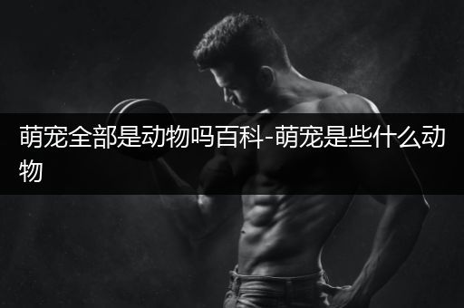 萌宠全部是动物吗百科-萌宠是些什么动物