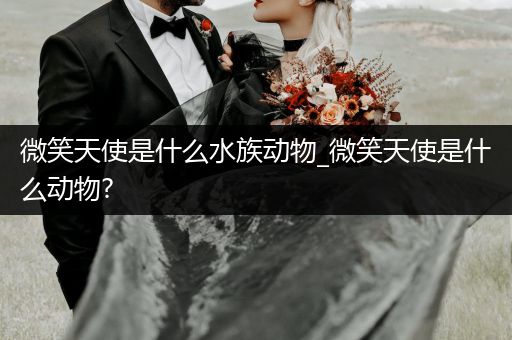 微笑天使是什么水族动物_微笑天使是什么动物?