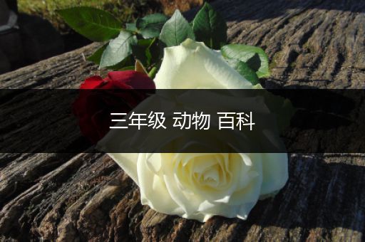 三年级 动物 百科