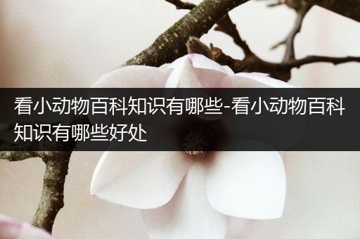 看小动物百科知识有哪些-看小动物百科知识有哪些好处