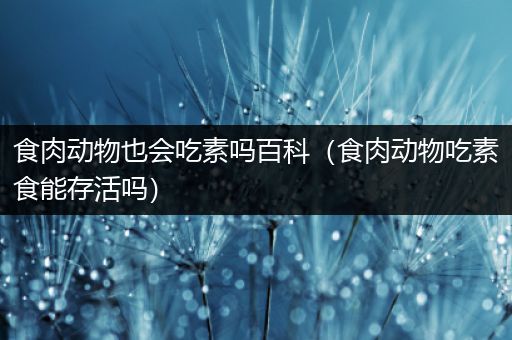 食肉动物也会吃素吗百科（食肉动物吃素食能存活吗）