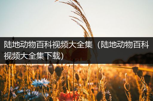 陆地动物百科视频大全集（陆地动物百科视频大全集下载）