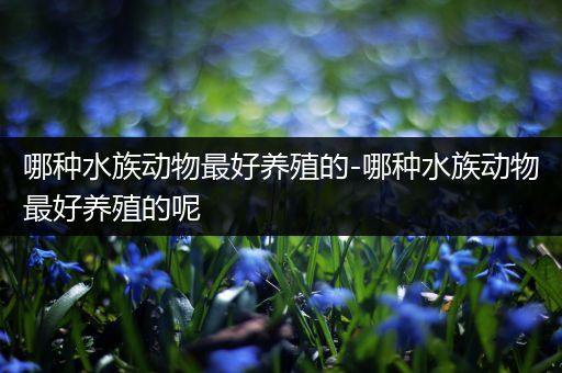 哪种水族动物最好养殖的-哪种水族动物最好养殖的呢