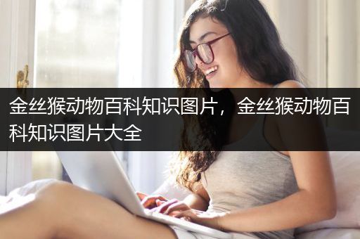 金丝猴动物百科知识图片，金丝猴动物百科知识图片大全