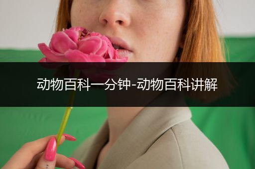 动物百科一分钟-动物百科讲解