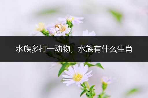 水族多打一动物，水族有什么生肖