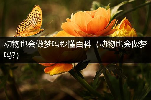 动物也会做梦吗秒懂百科（动物也会做梦吗?）