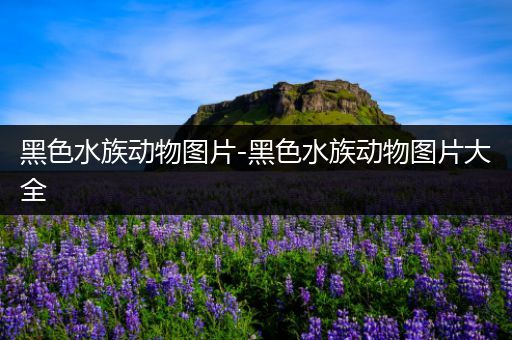 黑色水族动物图片-黑色水族动物图片大全
