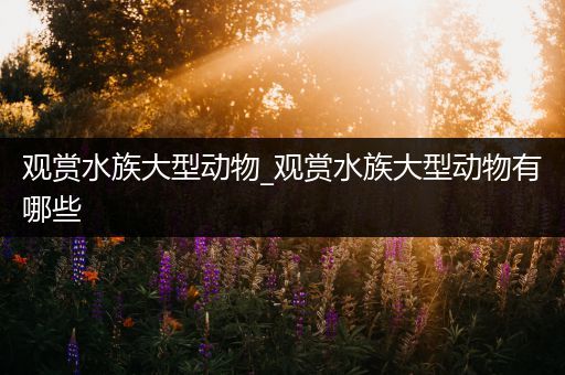 观赏水族大型动物_观赏水族大型动物有哪些