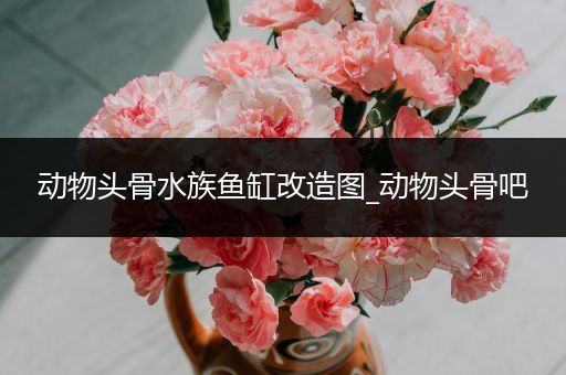 动物头骨水族鱼缸改造图_动物头骨吧