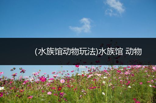 （水族馆动物玩法)水族馆 动物