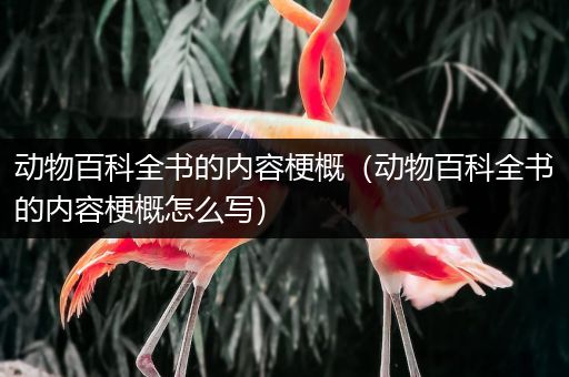 动物百科全书的内容梗概（动物百科全书的内容梗概怎么写）