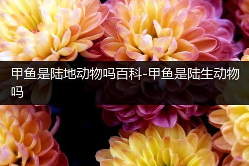 甲鱼是陆地动物吗百科-甲鱼是陆生动物吗