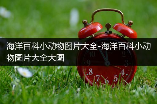 海洋百科小动物图片大全-海洋百科小动物图片大全大图