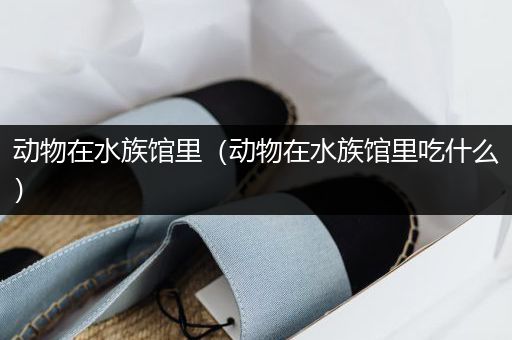 动物在水族馆里（动物在水族馆里吃什么）
