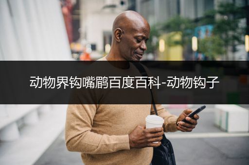 动物界钩嘴鹛百度百科-动物钩子