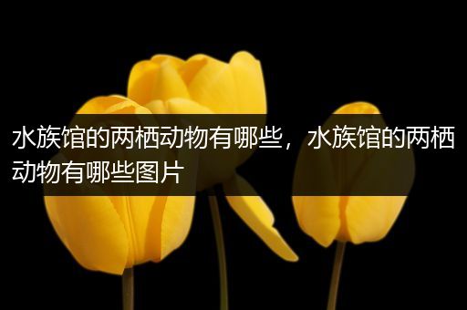 水族馆的两栖动物有哪些，水族馆的两栖动物有哪些图片