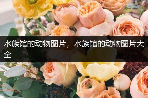 水族馆的动物图片，水族馆的动物图片大全
