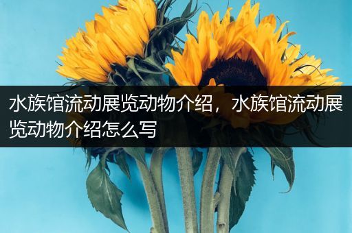 水族馆流动展览动物介绍，水族馆流动展览动物介绍怎么写