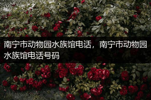南宁市动物园水族馆电话，南宁市动物园水族馆电话号码