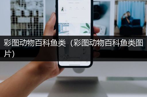彩图动物百科鱼类（彩图动物百科鱼类图片）