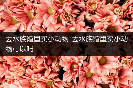 去水族馆里买小动物_去水族馆里买小动物可以吗