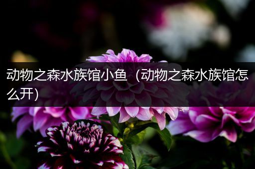动物之森水族馆小鱼（动物之森水族馆怎么开）