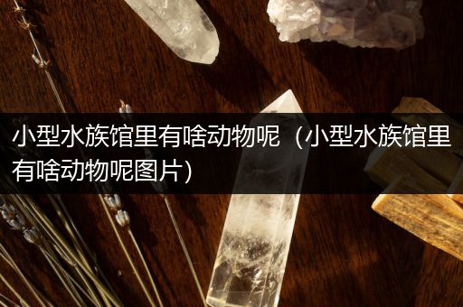 小型水族馆里有啥动物呢（小型水族馆里有啥动物呢图片）