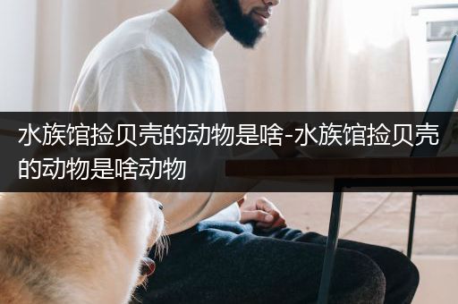 水族馆捡贝壳的动物是啥-水族馆捡贝壳的动物是啥动物