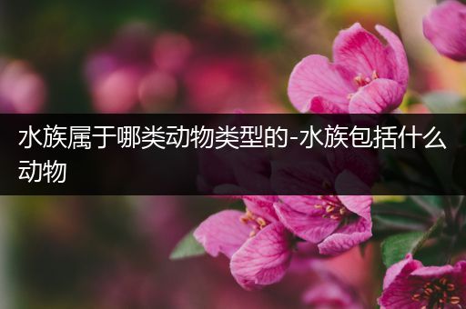 水族属于哪类动物类型的-水族包括什么动物